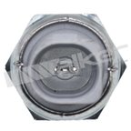 Walker 256-1144 Engine Oil Pressure Switch - view 3