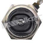 Walker 256-1275 Engine Oil Pressure Switch - view 3