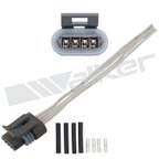 Walker 270-1040 Engine Crankshaft Position Sensor Connector - view 2