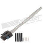 Walker 270-1040 Engine Crankshaft Position Sensor Connector - view 1