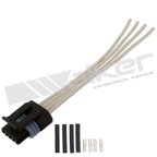 Walker 270-1042 Engine Crankshaft Position Sensor Connector - view 1
