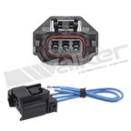 Walker 270-1061 Engine Camshaft Position Sensor Connector - view 1