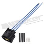 Walker 270-1065 Engine Crankshaft Position Sensor Connector - view 1