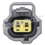Walker 270-1118 Engine Coolant Temperature Sensor Connector - view 2