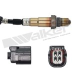 Walker 350-341030 Oxygen Sensor - Downstream - view 5