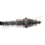 Walker 350-341079 Oxygen Sensor - Downstream - view 2