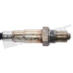 Walker 350-341081 Oxygen Sensor - view 2