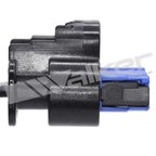 Walker 350-341081 Oxygen Sensor - view 4
