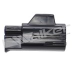 Walker 350-341097 Oxygen Sensor - Downstream - view 4