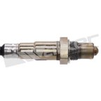 Walker 350-341098 Oxygen Sensor - Downstream Right - view 2