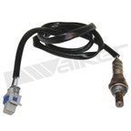 Walker 350-34436 Oxygen Sensor - Downstream, Downstream Left or Downstream Right - view 1