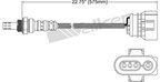 Walker 350-34578 Oxygen Sensor - Upstream - view 1