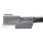 Walker 350-34667 Oxygen Sensor - Downstream Front or Downstream Rear - view 4