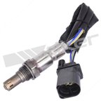 Walker 350-35031 Oxygen Sensor - Downstream, Upstream, Upstream Left or Upstream Right - view 1