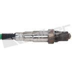 Walker 350-35117 Oxygen Sensor - Center, Downstream or Upstream - view 2