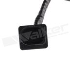 Walker 350-35173 Oxygen Sensor - Upstream - view 4