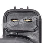Walker 921-2334 Ignition Coil - view 3