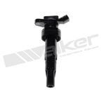 Walker 921-2534 Ignition Coil - view 1