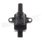 Walker 921-2550 Ignition Coil - view 1