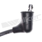 Walker 924-1153 Spark Plug Wire Set - view 4