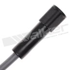Walker 924-1245 Spark Plug Wire Set - view 4
