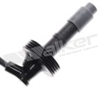 Walker 924-1252 Spark Plug Wire Set - view 3