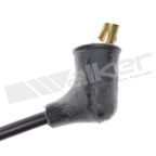 Walker 924-1253 Spark Plug Wire Set - view 3