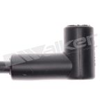 Walker 924-1431 Spark Plug Wire Set - view 3