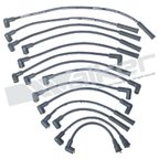 Walker 924-1452 Spark Plug Wire Set - view 1
