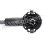 Walker 924-1480 Spark Plug Wire Set - view 3