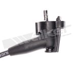 Walker 924-1491 Spark Plug Wire Set - view 3