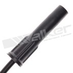 Walker 924-1524 Spark Plug Wire Set - view 3