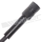 Walker 924-1588 Spark Plug Wire Set - view 3