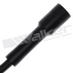 Walker 924-1589 Spark Plug Wire Set - view 3