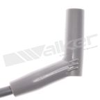 Walker 924-1604 Spark Plug Wire Set - view 3