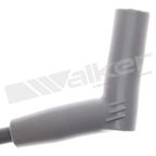 Walker 924-1605 Spark Plug Wire Set - view 3
