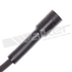 Walker 924-1626 Spark Plug Wire Set - view 5