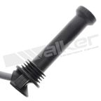 Walker 924-1662 Spark Plug Wire Set - view 2