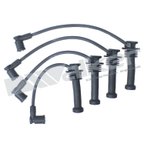Walker 924-1662 Spark Plug Wire Set - view 1