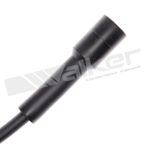 Walker 924-1664 Spark Plug Wire Set - view 2