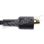Walker 924-1667 Spark Plug Wire Set - view 3