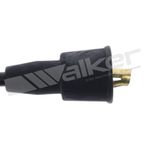 Walker 924-1667 Spark Plug Wire Set - view 4