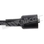 Walker 924-1668 Spark Plug Wire Set - view 3