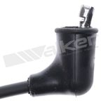Walker 924-1679 Spark Plug Wire Set - view 3