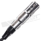 Walker 924-1681 Spark Plug Wire Set - view 2