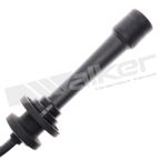 Walker 924-1751 Spark Plug Wire Set - view 3
