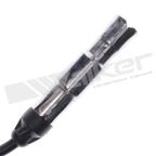 Walker 924-1778 Spark Plug Wire Set - view 3