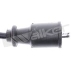 Walker 924-1782 Spark Plug Wire Set - view 2