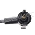 Walker 924-1795 Spark Plug Wire Set - view 2