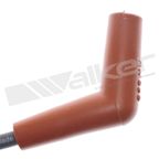 Walker 924-1795 Spark Plug Wire Set - view 3